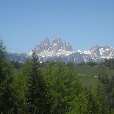 Fabbricato Indipendente Centro Appartement Lozzo Cadore Buitenkant foto